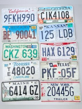 Vintage Authentic U.S. License Plate Wall Art - Multistate Collection